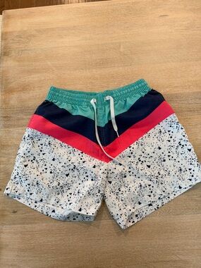 Men’s Chubbies Swim Trunks